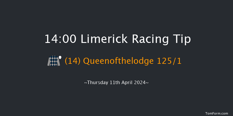 Limerick  14:00 Maiden Hurdle 16f Sun 24th Mar 2024