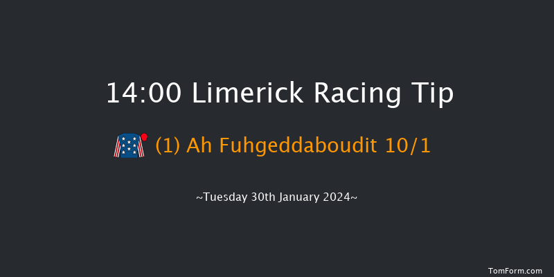 Limerick  14:00 Maiden Hurdle 16f Fri 29th Dec 2023