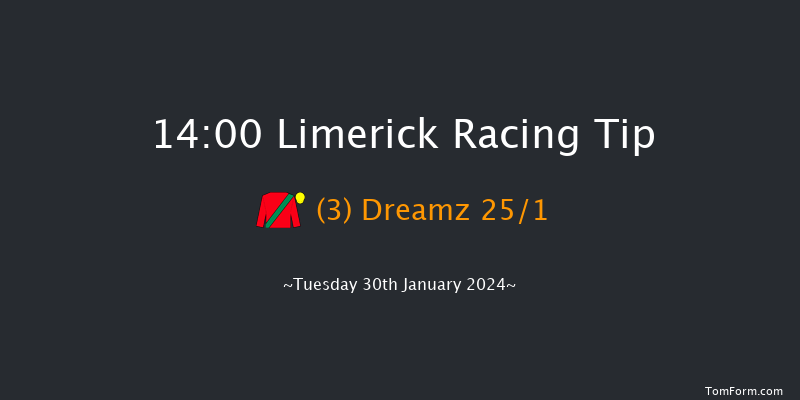 Limerick  14:00 Maiden Hurdle 16f Fri 29th Dec 2023