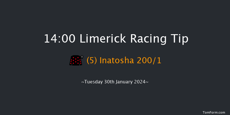 Limerick  14:00 Maiden Hurdle 16f Fri 29th Dec 2023