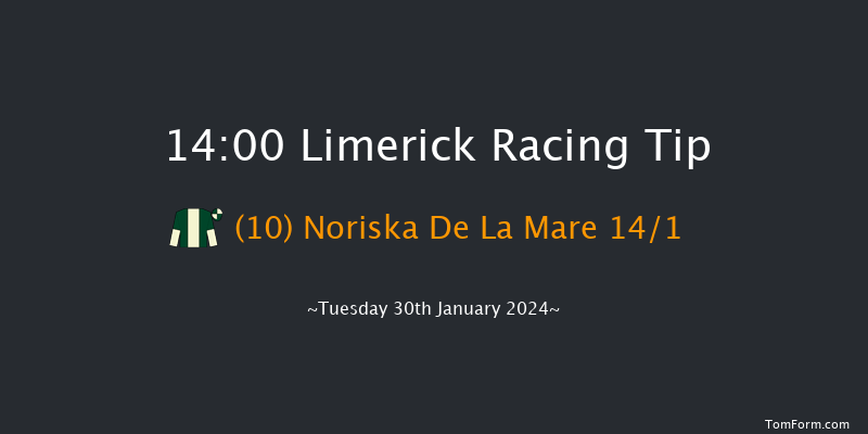 Limerick  14:00 Maiden Hurdle 16f Fri 29th Dec 2023