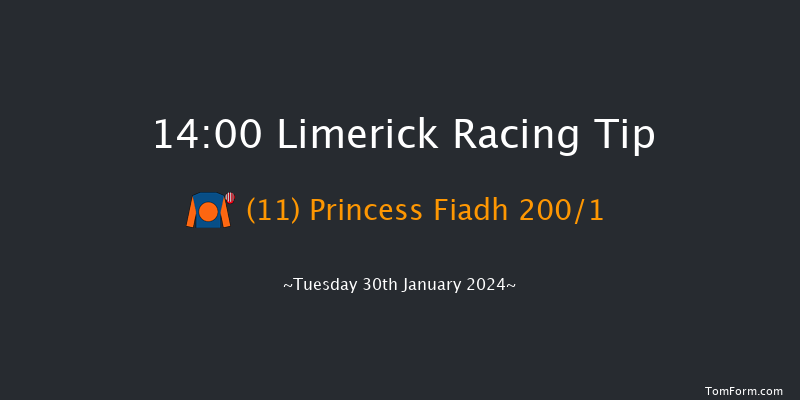 Limerick  14:00 Maiden Hurdle 16f Fri 29th Dec 2023