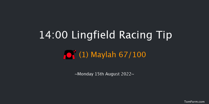 Lingfield 14:00 Stakes (Class 6) 7f Tue 9th Aug 2022