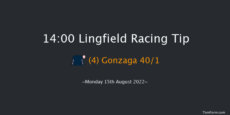 Lingfield 14:00 Stakes (Class 6) 7f Tue 9th Aug 2022