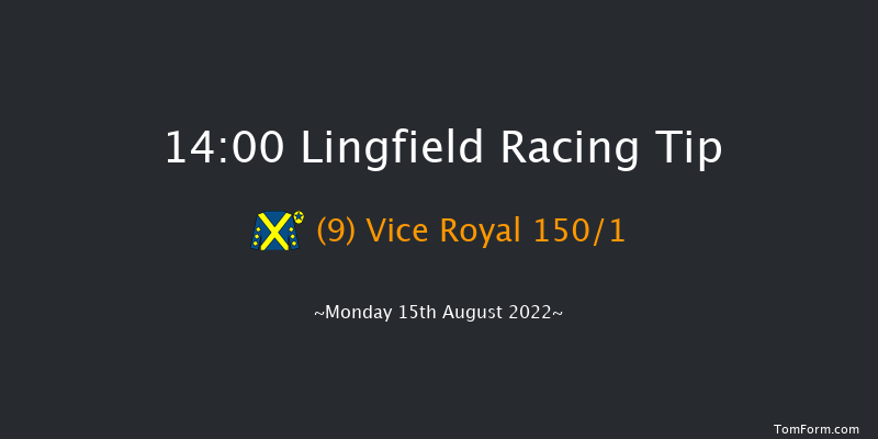 Lingfield 14:00 Stakes (Class 6) 7f Tue 9th Aug 2022