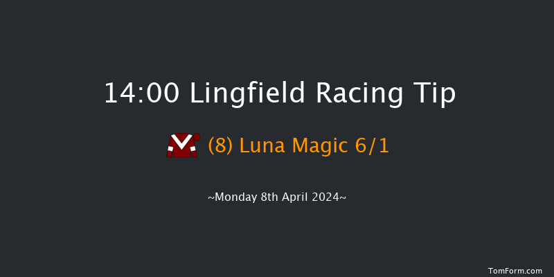 Lingfield  14:00 Handicap (Class 6) 8f Fri 5th Apr 2024