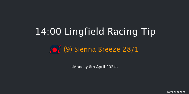 Lingfield  14:00 Handicap (Class 6) 8f Fri 5th Apr 2024