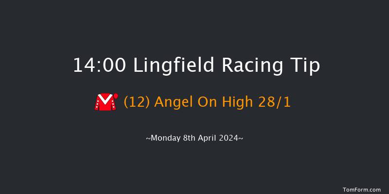 Lingfield  14:00 Handicap (Class 6) 8f Fri 5th Apr 2024