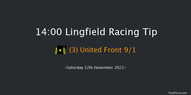 Lingfield 14:00 Handicap (Class 2) 8f Tue 8th Nov 2022