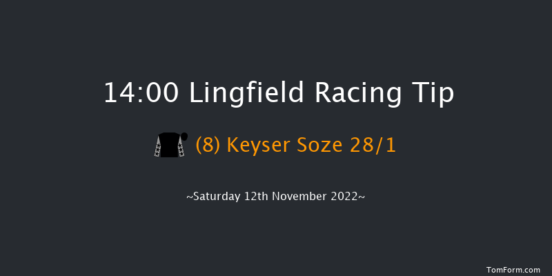 Lingfield 14:00 Handicap (Class 2) 8f Tue 8th Nov 2022