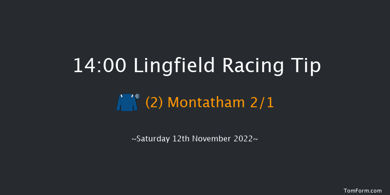 Lingfield 14:00 Handicap (Class 2) 8f Tue 8th Nov 2022