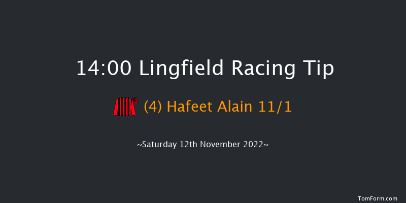 Lingfield 14:00 Handicap (Class 2) 8f Tue 8th Nov 2022