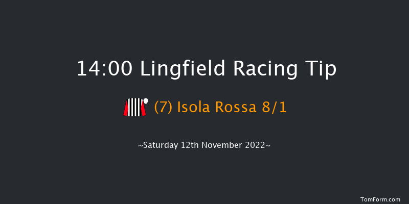 Lingfield 14:00 Handicap (Class 2) 8f Tue 8th Nov 2022