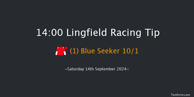 Lingfield  14:00 Stakes (Class 5) 7f Wed 11th Sep 2024