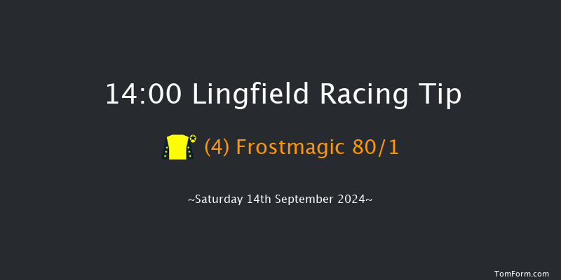 Lingfield  14:00 Stakes (Class 5) 7f Wed 11th Sep 2024