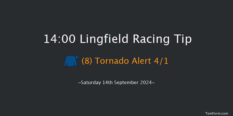 Lingfield  14:00 Stakes (Class 5) 7f Wed 11th Sep 2024