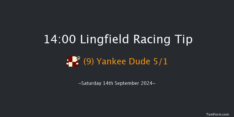 Lingfield  14:00 Stakes (Class 5) 7f Wed 11th Sep 2024