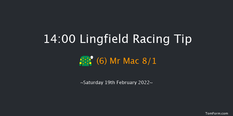 Lingfield 14:00 Handicap (Class 6) 10f Fri 18th Feb 2022