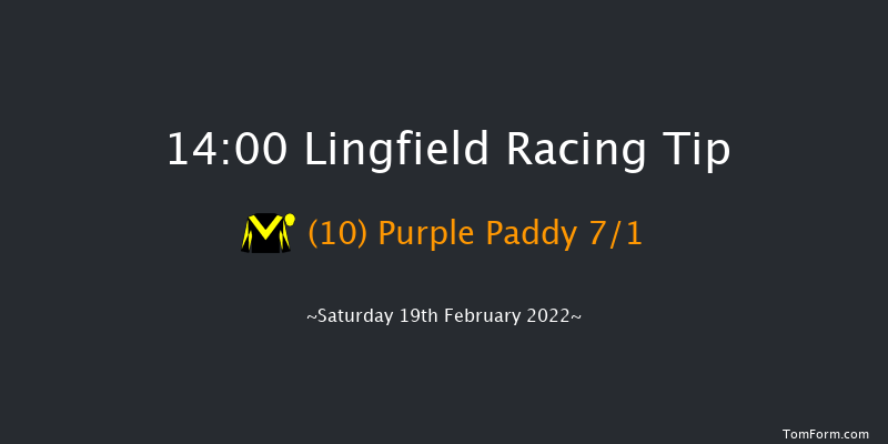 Lingfield 14:00 Handicap (Class 6) 10f Fri 18th Feb 2022