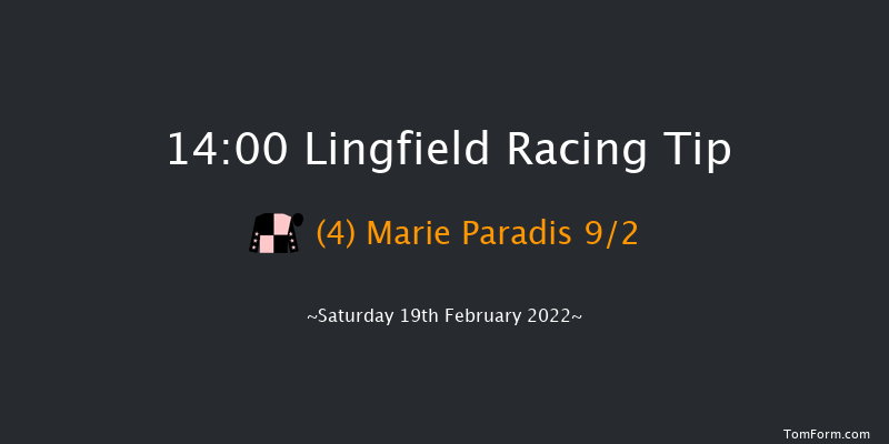 Lingfield 14:00 Handicap (Class 6) 10f Fri 18th Feb 2022