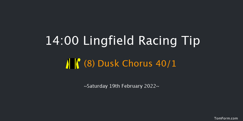 Lingfield 14:00 Handicap (Class 6) 10f Fri 18th Feb 2022