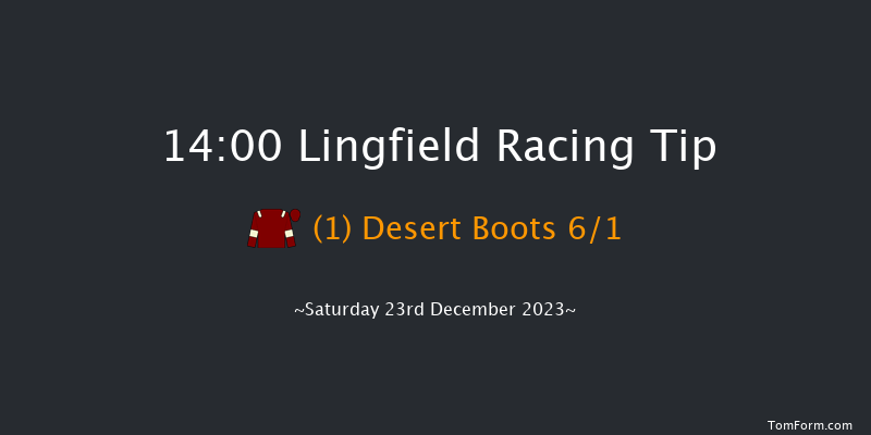 Lingfield 14:00 Handicap (Class 6) 6f Wed 20th Dec 2023