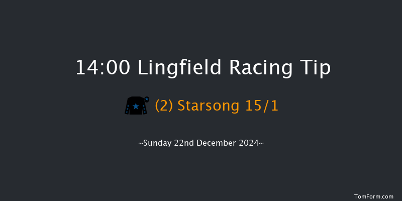 Lingfield  14:00 Handicap (Class 6) 6f Wed 18th Dec 2024