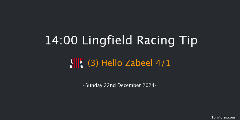 Lingfield  14:00 Handicap (Class 6) 6f Wed 18th Dec 2024