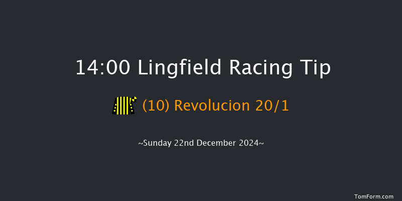 Lingfield  14:00 Handicap (Class 6) 6f Wed 18th Dec 2024