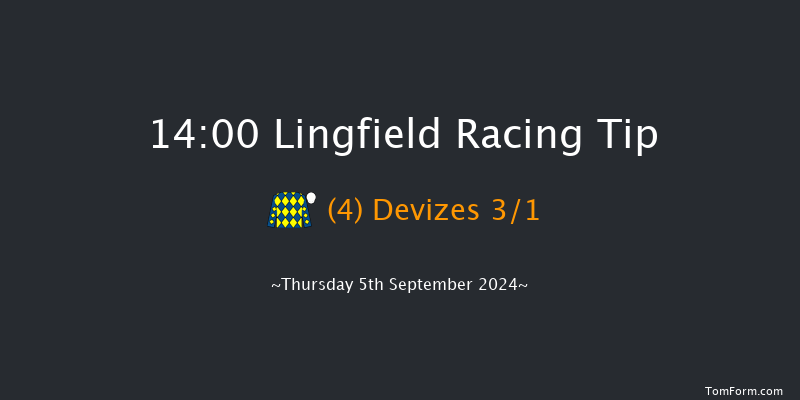 Lingfield  14:00 Handicap (Class 6) 16f Wed 4th Sep 2024