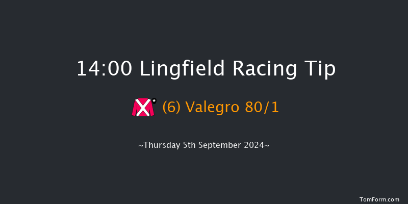 Lingfield  14:00 Handicap (Class 6) 16f Wed 4th Sep 2024