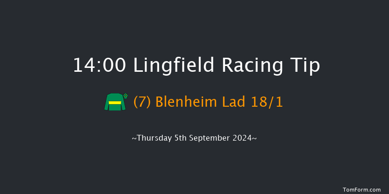 Lingfield  14:00 Handicap (Class 6) 16f Wed 4th Sep 2024