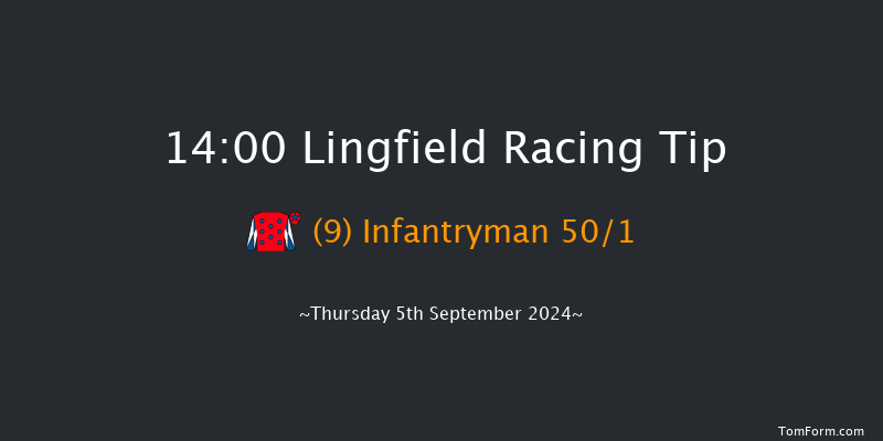 Lingfield  14:00 Handicap (Class 6) 16f Wed 4th Sep 2024