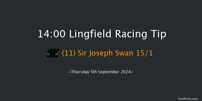 Lingfield  14:00 Handicap (Class 6) 16f Wed 4th Sep 2024