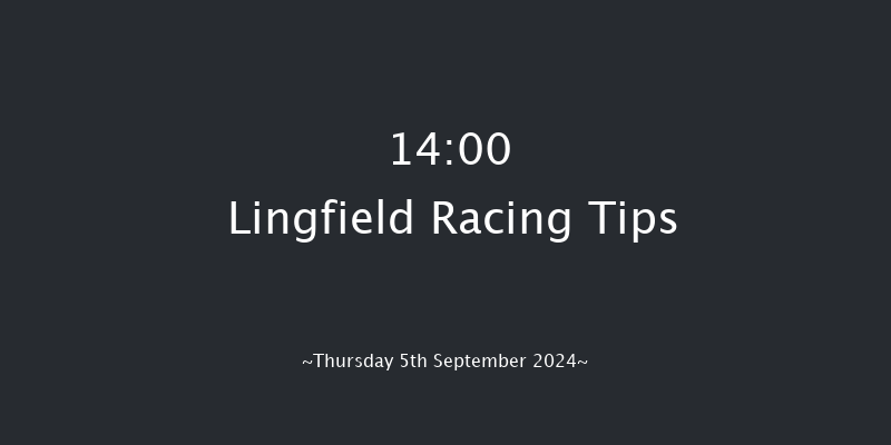 Lingfield  14:00 Handicap (Class 6) 16f Wed 4th Sep 2024