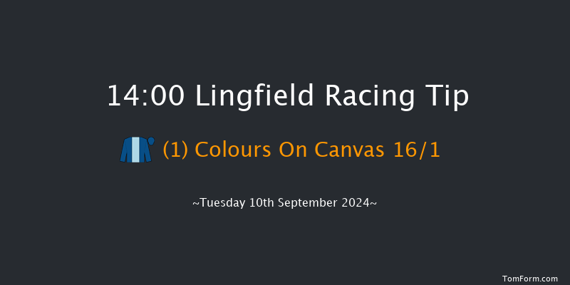 Lingfield  14:00 Maiden (Class 5) 12f Thu 5th Sep 2024