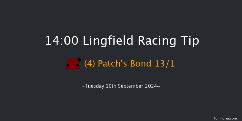 Lingfield  14:00 Maiden (Class 5) 12f Thu 5th Sep 2024