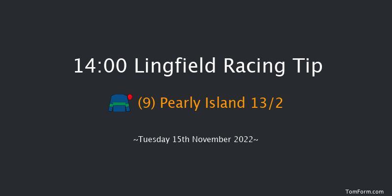 Lingfield 14:00 Handicap Hurdle (Class 3) 20f Sat 12th Nov 2022