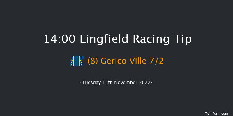 Lingfield 14:00 Handicap Hurdle (Class 3) 20f Sat 12th Nov 2022