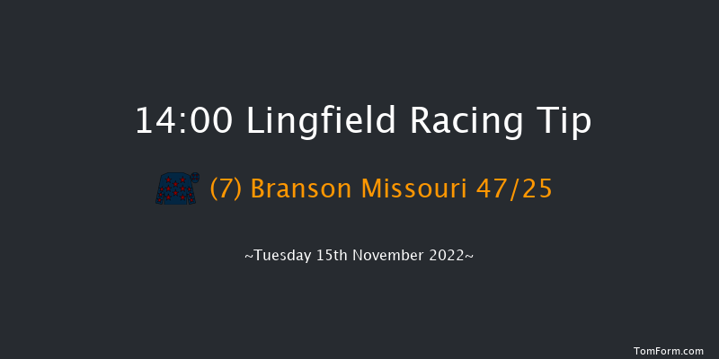 Lingfield 14:00 Handicap Hurdle (Class 3) 20f Sat 12th Nov 2022