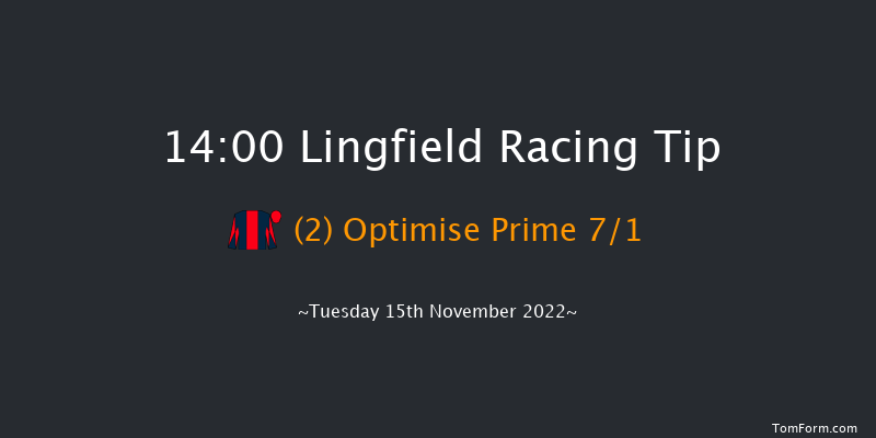 Lingfield 14:00 Handicap Hurdle (Class 3) 20f Sat 12th Nov 2022