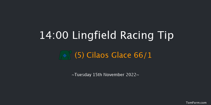 Lingfield 14:00 Handicap Hurdle (Class 3) 20f Sat 12th Nov 2022