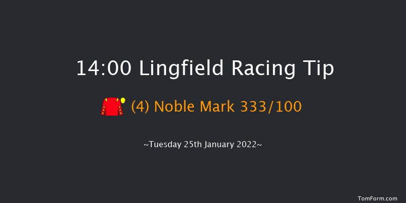 Lingfield 14:00 Maiden (Class 5) 7f Sun 23rd Jan 2022