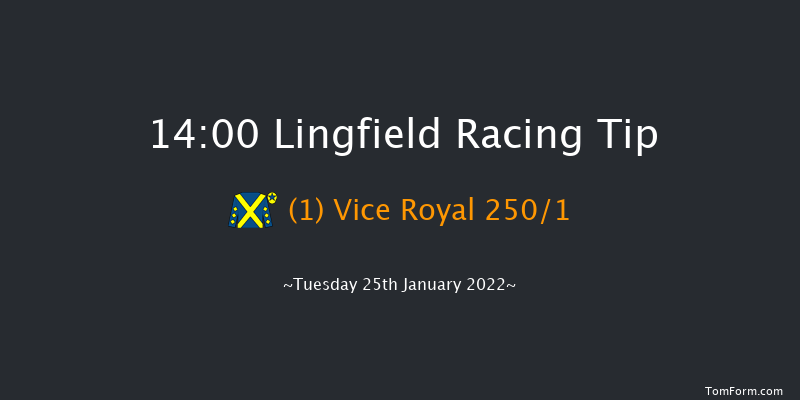 Lingfield 14:00 Maiden (Class 5) 7f Sun 23rd Jan 2022