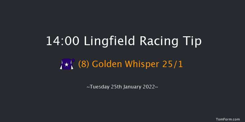 Lingfield 14:00 Maiden (Class 5) 7f Sun 23rd Jan 2022