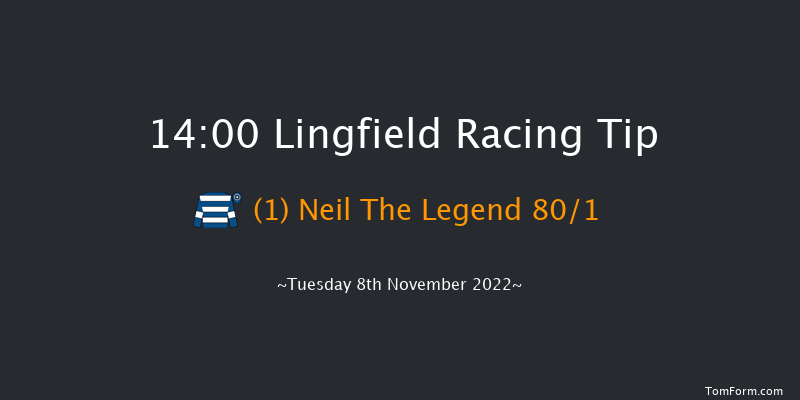 Lingfield 14:00 Handicap Chase (Class 4) 20f Thu 27th Oct 2022