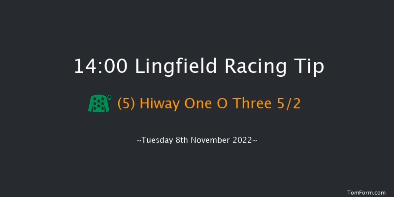 Lingfield 14:00 Handicap Chase (Class 4) 20f Thu 27th Oct 2022