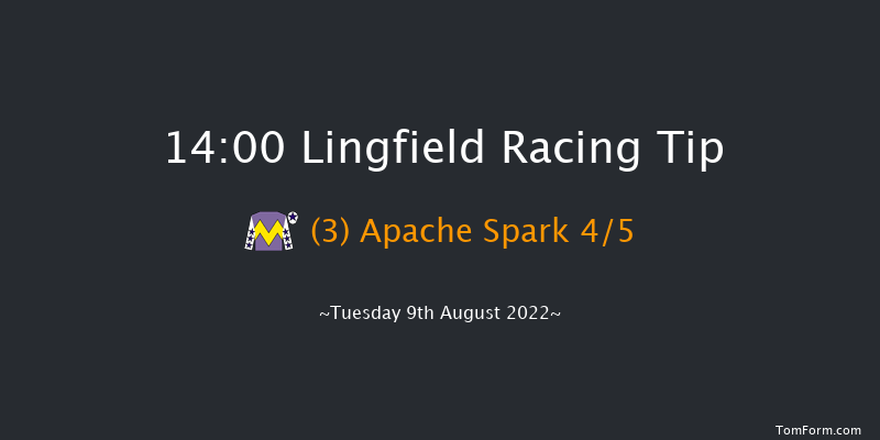 Lingfield 14:00 Stakes (Class 4) 5f Sat 6th Aug 2022