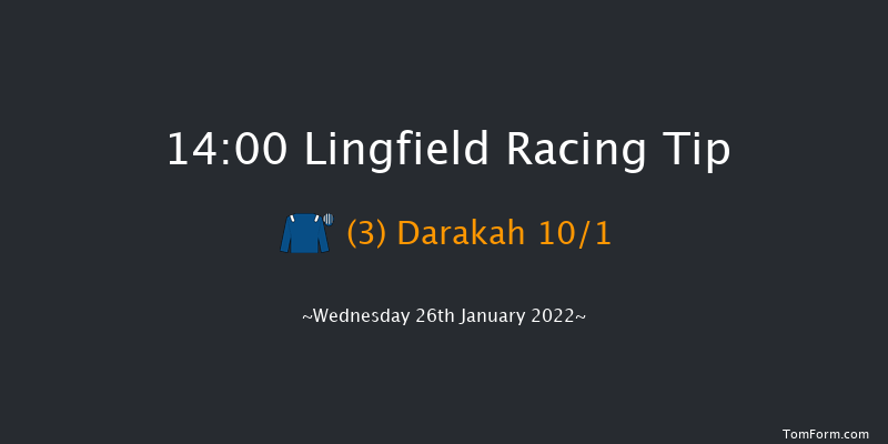 Lingfield 14:00 Stakes (Class 5) 7f Tue 25th Jan 2022