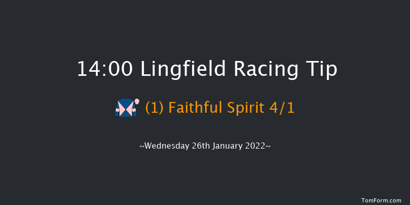 Lingfield 14:00 Stakes (Class 5) 7f Tue 25th Jan 2022